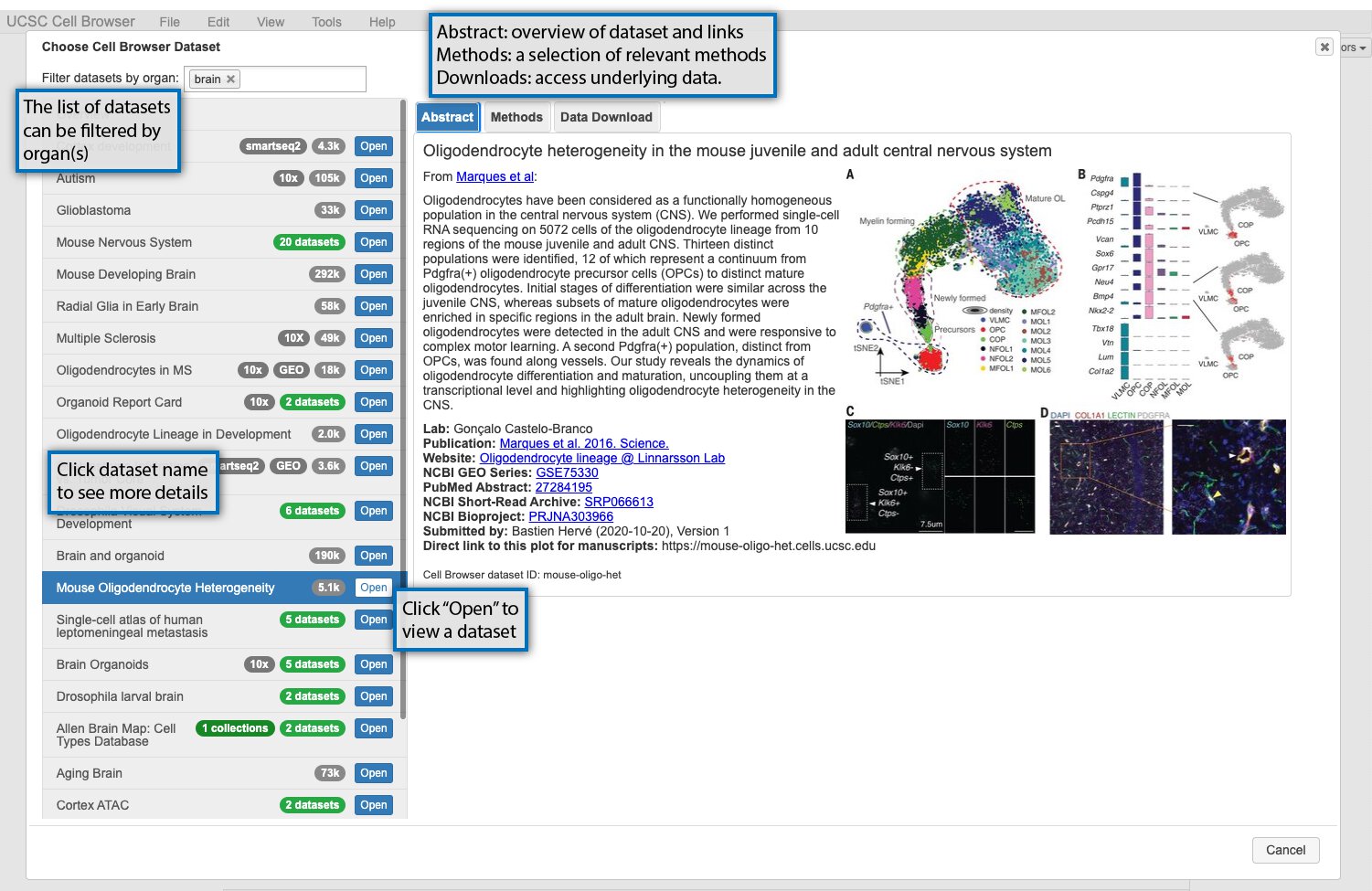 Image showing Cell Browser dataset select screen, with organ filter, dataset info pop-up, and dataset open button labeled